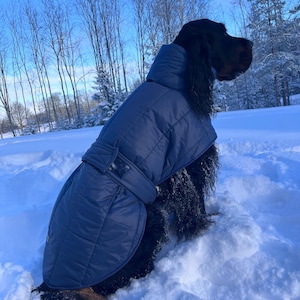 Op de afbeelding: Een zwarte hond die een blauwe gewatteerde winterjas met capuchon draagt. De hond zit in de sneeuw.