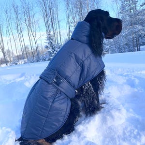Può includere: Un cane nero e marrone con un cappotto invernale blu trapuntato, seduto nella neve alta. Il cappotto ha un colletto alto e una cintura in vita. Lo sfondo presenta alberi innevati e un cielo azzurro brillante.