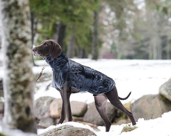 Stylish Waterproof Black Dog Jacket with Glossy Surface and Embossed Lettering, Double-Layer Insulation