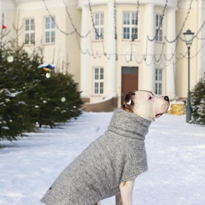 Op de afbeelding: Een lichtgrijze hondenjas met een coltrui op een wit-bruine hond die in de sneeuw zit. De hond is buiten voor een gebouw met witte pilaren en een rood dak. De hond kijkt omhoog.