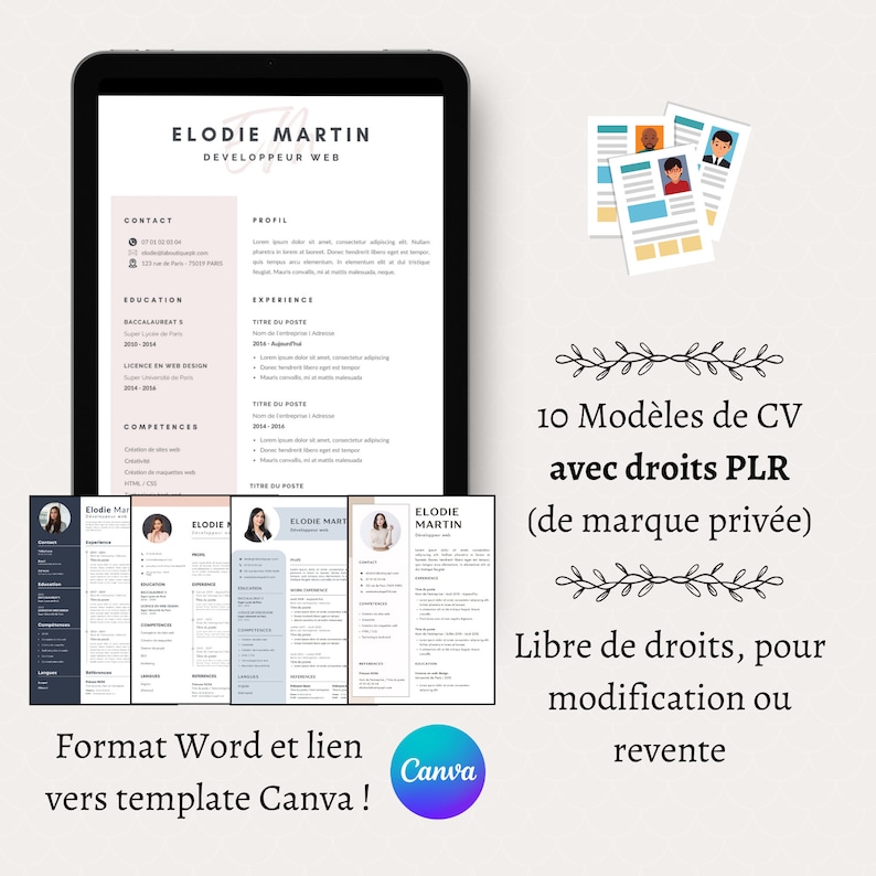 10 PLR CV Templates in French - Word & Canva - Private Label Rights ...