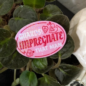 Könnte beinhalten: Ein rosa ovaler Aufkleber mit dem Text "GUARDS! IMPREGNATE THAT MAN" in Weiß und Rot, mit Herz- und Glitzerakzenten. Der Aufkleber befindet sich auf einer Pflanze mit grünen Blättern, mit einem weißen Schädel im Hintergrund.