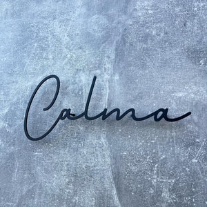 Letrero de puerta personalizado, letrero metálico para oficina, letras metálicas para pared, placa decorativa, letrero para sala de reuniones, palabras metálicas personalizadas, letrero de dirección familiar personalizado