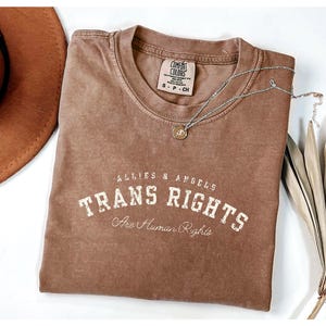 Social Justice Ally Shirt Intersectional Feminist shirt Trans Rights Are human Rights Tee Comfort Colors Pride Shirt Trans Supporter Tee FDT