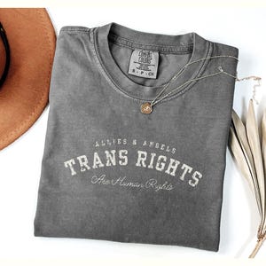 Social Justice Ally Shirt Intersectional Feminist shirt Trans Rights Are human Rights Tee Comfort Colors Pride Shirt Trans Supporter Tee FDT