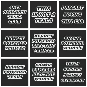 Tesla Owner Magnetic Bumper sticker - ANTI ELON Tesla Club Bumper Magnet, Fuck Elon Car Magnet, Anti Oligarch Sarcastic Tesla Sticker afbeelding 7