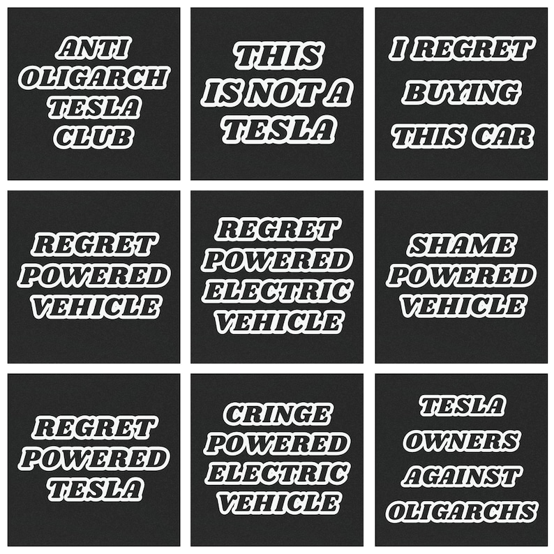 Tesla Owner Magnetic Bumper sticker - ANTI ELON Tesla Club Bumper Magnet, Fuck Elon Car Magnet, Anti Oligarch Sarcastic Tesla Sticker afbeelding 7