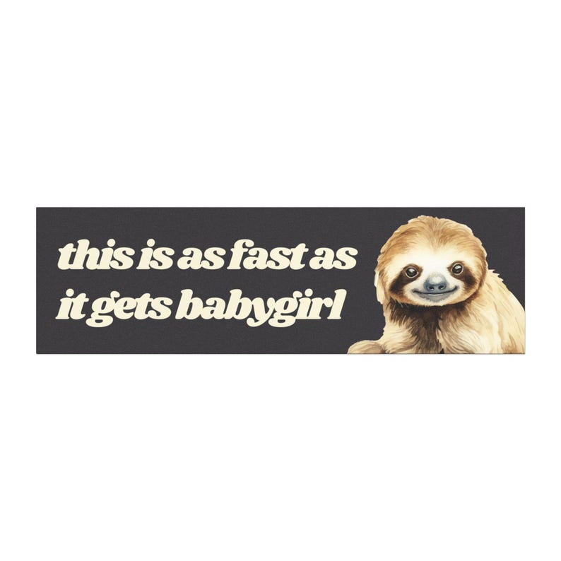 Anti Tailgating Funny Magnetic Bumper Sticker, Gen Z Meme Bumper Magnet, Unhinged Car Accessories Cute Slow Driver Gift for New Driver Sloth image 1