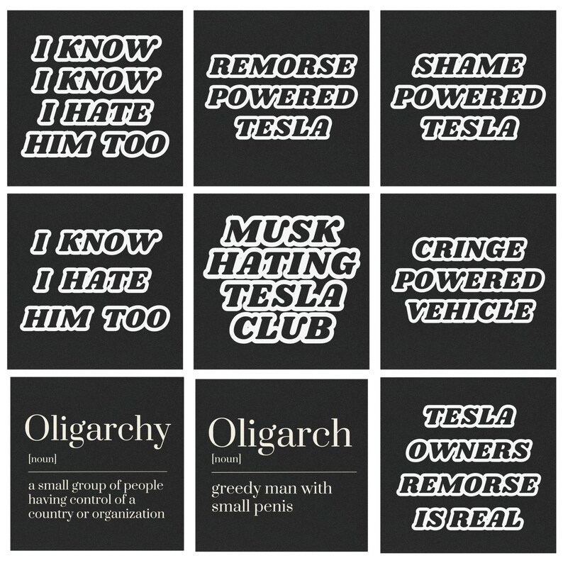 Op de afbeelding: Een zwart-witte collage van tekst-stickers met zinnen als "Ik weet dat ik hem ook haat", "Berouw aangedreven door Tesla", "Musk-hatende Tesla-club" en "Oligarchie: een kleine groep mensen die de controle heeft over een land of organisatie".