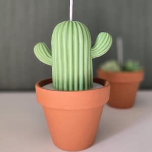 Kaktus-Kerze im Terrakottatopf – Niedliche Deko, Geschenkidee für Pflanzenliebhaber