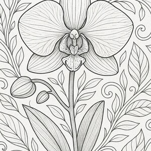 May include: A black and white line drawing of an orchid flower with intricate details. The flower is surrounded by leaves and swirls.