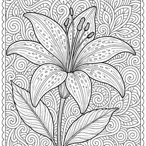 May include: A black and white line drawing of a lily flower with intricate details. The flower is surrounded by a swirling pattern.