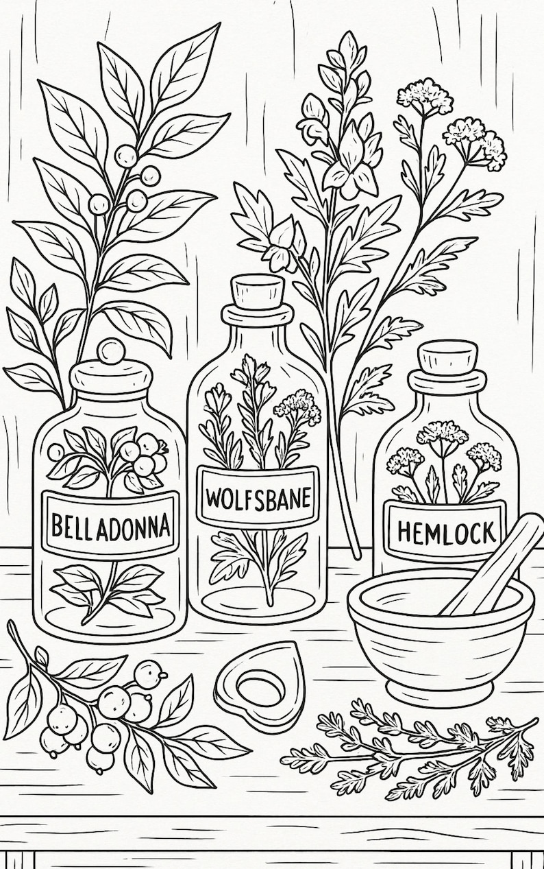 K&ouml;nnte beinhalten: Schwarz-Wei&szlig;-Illustration von Apothekenartikeln. Drei Glasflaschen mit der Aufschrift "Belladonna", "Wolfsbane" und "Hemlock" enthalten botanische Illustrationen. Ein M&ouml;rser und St&ouml;&szlig;el, ein kleiner Holzgegenstand und Pflanzenzweige vervollst&auml;ndigen die Szene.