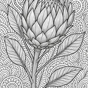 May include: A black and white line drawing of a protea flower with intricate details. The flower is surrounded by a swirling pattern of lines and circles.
