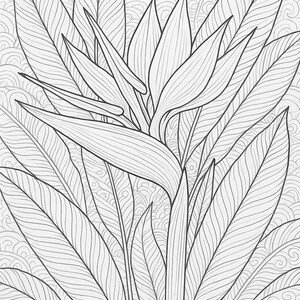 Exotic Blooms Coloring Book: 12 Floral Art Pages (PDF Download) image 8