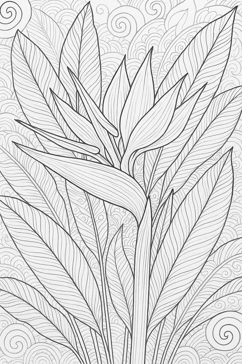 Exotic Blooms Coloring Book: 12 Floral Art Pages (PDF Download) image 8