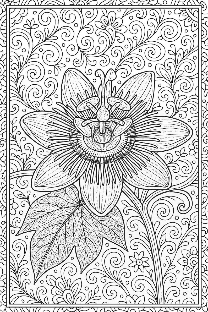 Exotic Blooms Coloring Book: 12 Floral Art Pages (PDF Download) image 6