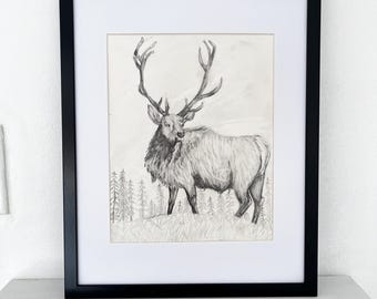 Original drawing, Majestic Elk
