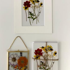 Oeuvre d'art pressée, attrape-soleil 4 x 6, herbier, fleurs sauvages, 5 x 7 cartes de voeux de fleurs (qté) et une impression d'herbier 5 x 7 (1) avec passe-partout 8 x 10.