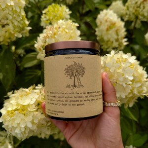 Autumn Harvest Candle, Cozy Farmers Market Scented Candle, Apple Cinnamon & Cedar Candle, Long Burning Soy Beeswax Blended Candle