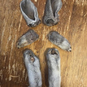 Dehydrated Rabbit Dog Chews