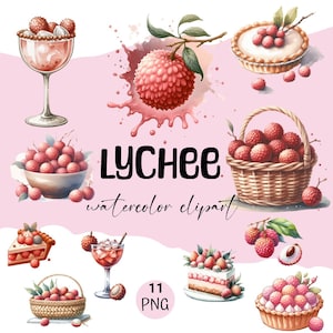 11 lychees fruit clipart PNG, watercolor lychees clipart, watercolor lychees illustration, commercial use, printable decor, digital download