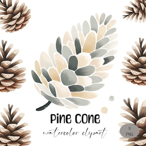 9 Clipart pomme de pin aquarelle, pomme de pin PNG, 300 DPI, fond Transparent, clipart automne, clipart automne, usage commercial, journal indésirable