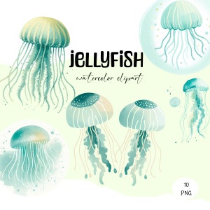 10 Watercolor Jellyfish Clipart, jellyfish PNG, nursery jellyfish clipart, marine clipart, jellyfish PNG, watercolor jellyfish PNG, 300 dpi