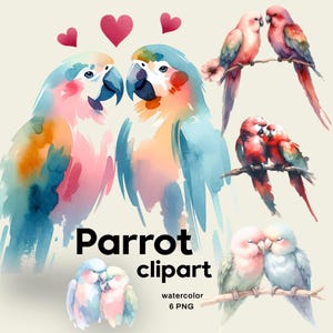 Romantisches Papagei Aquarell Clipart Set | 6 PNG Liebesvögel | Tropisches Papageien-Paar Kunst | Transparenter Hintergrund mit hoher Auflösung, Papagei PNG