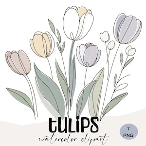 Tulip Watercolor Clipart – 7 Minimalist Floral Line Art PNGs for DIY Projects, Invitations, Wedding Decor & Wall Art with Commercial Use