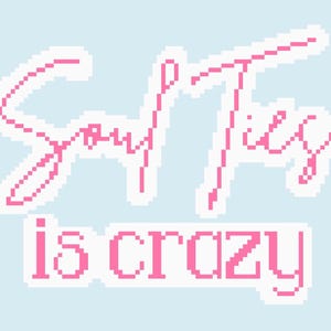 May include: A light blue sticker with the text "Soft Ties is crazy" in pink pixelated font. The words are outlined in white, creating a contrast against the light blue background. The sticker has a playful, handmade aesthetic.