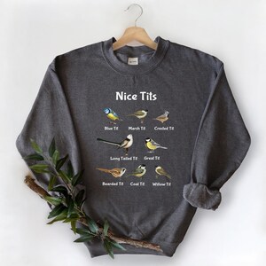 Puede incluir: Una sudadera gris oscuro con un gr&aacute;fico humor&iacute;stico de diferentes tipos de p&aacute;jaros, etiquetados con el texto "Nice Tits" y los nombres de cada p&aacute;jaro, incluyendo "Blue Tit", "Marsh Tit", "Crested Tit", "Long Tailed Tit", "Great Tit", "Bearded Tit", "Coal Tit" y "Willow Tit".
