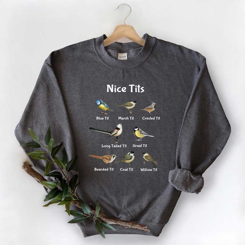 Puede incluir: Una sudadera gris oscuro con un gr&aacute;fico humor&iacute;stico de diferentes tipos de p&aacute;jaros, etiquetados con el texto "Nice Tits" y los nombres de cada p&aacute;jaro, incluyendo "Blue Tit", "Marsh Tit", "Crested Tit", "Long Tailed Tit", "Great Tit", "Bearded Tit", "Coal Tit" y "Willow Tit".