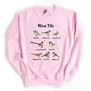 Sudadera con pájaros, suéter con pájaros, regalo para observadores de aves, sudadera con capucha, sudadera con capucha para observadores de aves, sudadera con pajaritos imagen 3