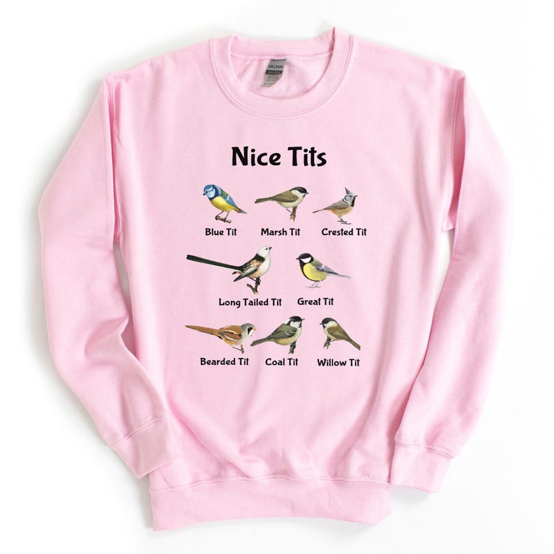 Sudadera con pájaros, suéter con pájaros, regalo para observadores de aves, sudadera con capucha, sudadera con capucha para observadores de aves, sudadera con pajaritos imagen 3