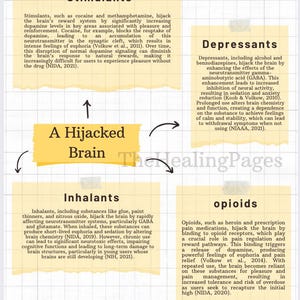 Biology of Addiction Psychoeducation Packet | Evidence-Based Resources | Reflection & Activity | Substance Breakdown | Mental Health Tool image 2
