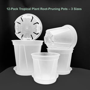 May include: Clear plastic plant pots with matching saucers. The pots are designed for root pruning and are available in three sizes. The image shows several pots stacked and arranged to display their features. The text at the top says "12-Pack Tropical Plant Root-Pruning Pots - 3 Sizes."