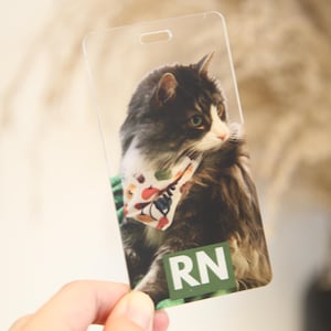 May include: Clear plastic RN badge showing a fluffy grey and white cat wearing a patterned bandana. The cat is the main subject, with the letters 'RN' in a green rectangle at the bottom.