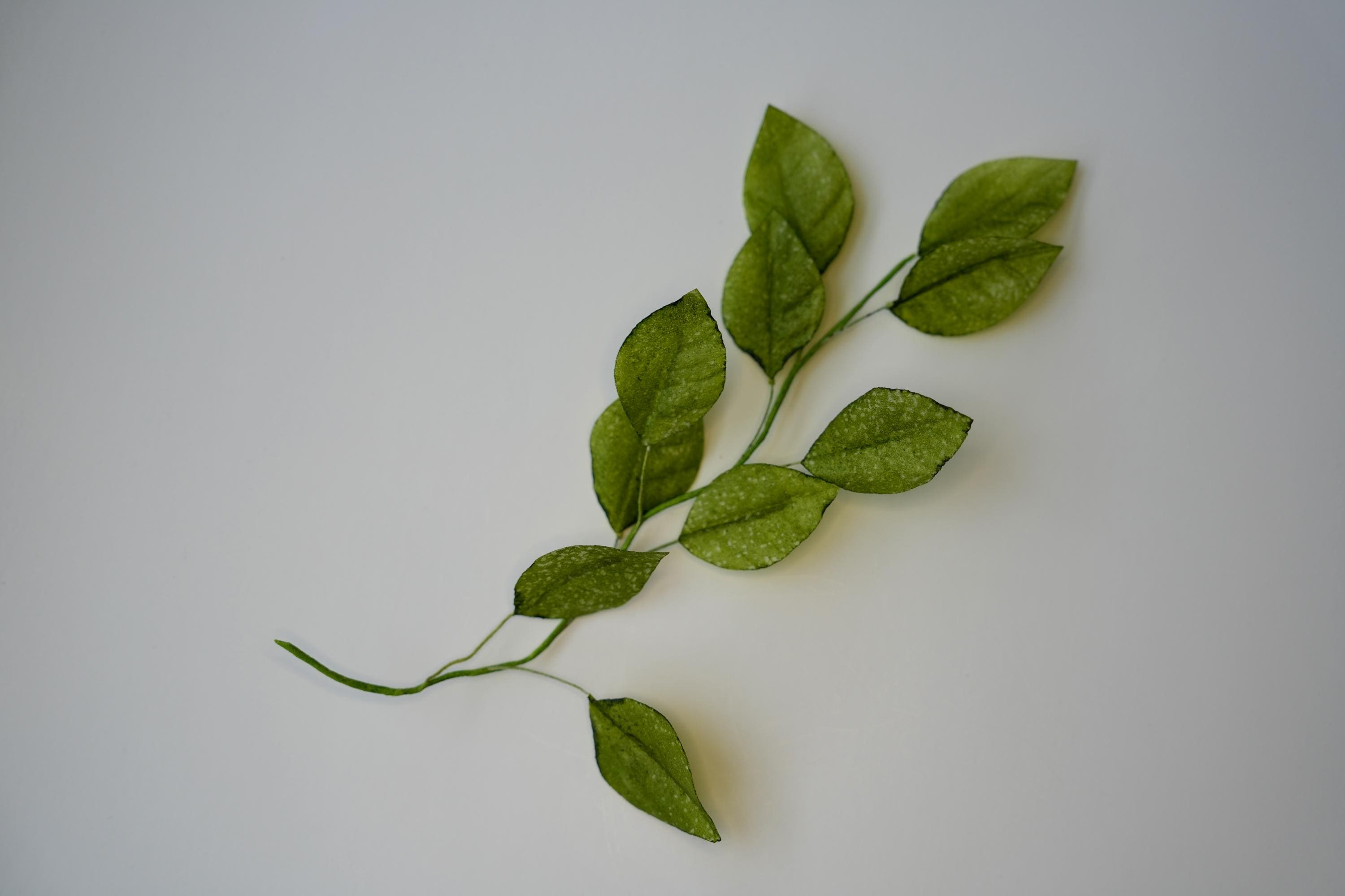Wafer paper leaves for cake decoration, wedding cake topper, cake topper flowers, cake decoration, wafer paper flower