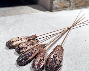 Dried Banana Pods Bundle, Natural Exotic Seed Pods, Rustic Home Decor Stems, Boho Vase Filler, Organic Botanical Arrangement