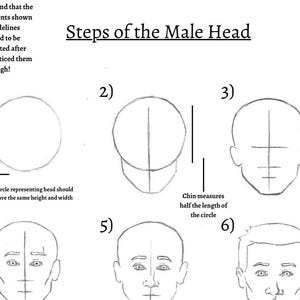 May include: A step-by-step guide on how to draw a male head, starting with a circle and adding details like the chin, eyes, and nose. The text "Steps of the Male Head" is at the top of the image.