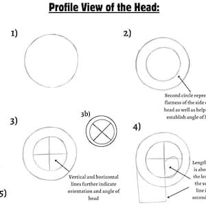 May include: A diagram showing how to draw a profile view of the head. The diagram shows five steps, starting with a circle and adding details like a second circle to represent the flatness of the side of the head and lines to indicate the orientation and angle of the head.