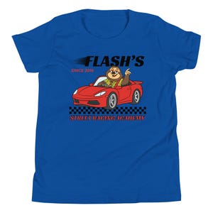 Disney Flash Zootopia Youth Bella Canvas Shirt