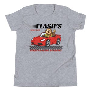 Disney Flash Zootopia Youth Bella Canvas Shirt