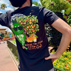 Orange Bird EPCOT Flower and Garden Bella Canvas Shirt, Subtle Trendy EPCOT Flower and Garden Shirt, Orange Bird Shirt