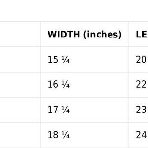 Disney Flash Zootopia Youth Bella Canvas Shirt