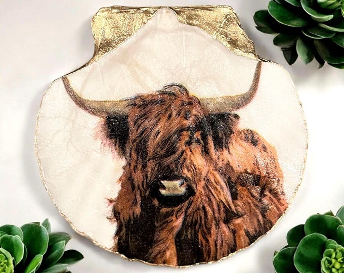 Highland Cow Shell, Shell Ring Dish, Shell Trinket Dish, Shell Jewelry ...