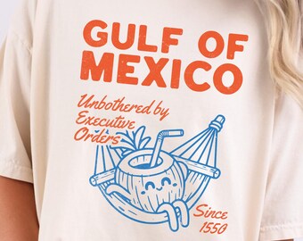 Gulf of Mexico Shirt Anti Trump Shirts Mexico Gift for Democrat Progressive Liberal Funny Political Shirt Gulf Of America Tee Resist Shirt