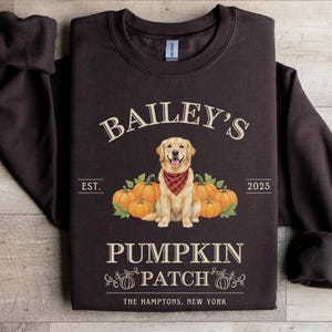 Peut inclure: Un sweat-shirt marron foncé avec le texte "BAILEY'S PUMPKIN PATCH" et un dessin d'un golden retriever avec un bandana rouge, entouré de citrouilles. Le texte "THE HAMPTONS, NEW YORK" est également inclus.