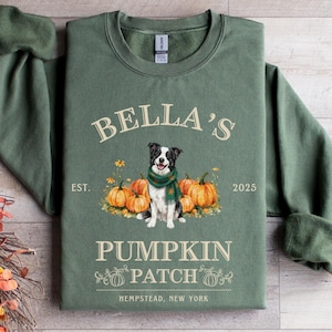 Puede incluir: Sudadera verde con el texto "BELLA'S PUMPKIN PATCH" y un dibujo de un perro con calabazas. La sudadera también incluye el texto "Hempstead, New York" y el año "2025".